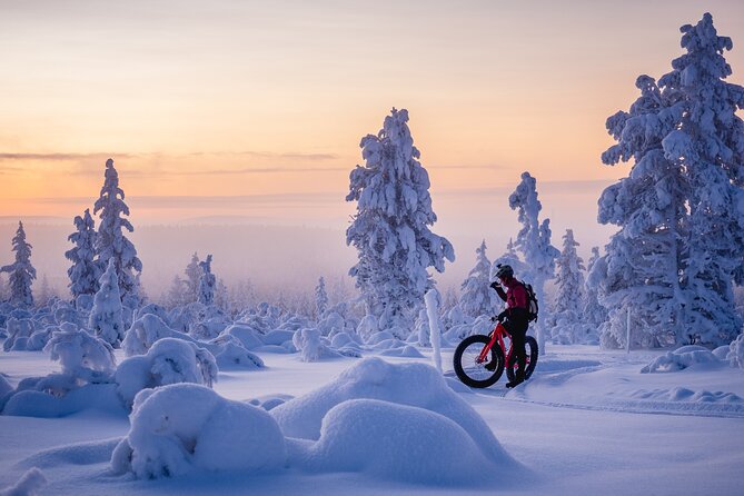 Winter afternoon group Ride in Saariselkä - Is $161 a fair price?