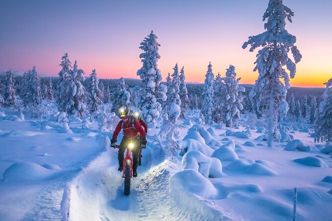 Winter afternoon group Ride in Saariselkä - Who should book this ride?