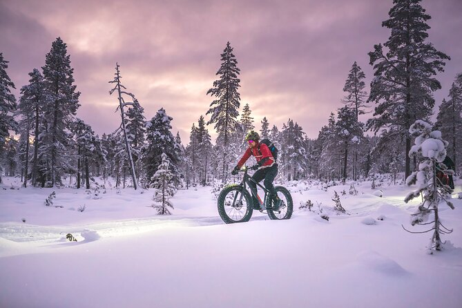 Winter afternoon group Ride in Saariselkä - Practical booking details that matter