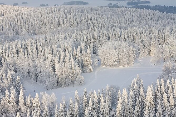 Winter Quad Bike Ride in the Arctic Circle from Rovaniemi - Shared driving changes the value of the $172.37 price