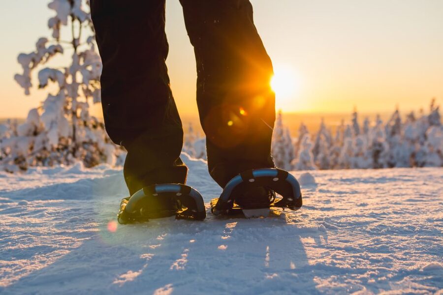 Ylläs: Forest Hike with Snowshoes - Following the easy trail into the boreal forest