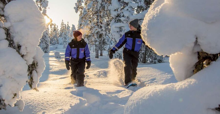 Ylläs: Forest Hike with Snowshoes - Learning to walk before the forest gets wild