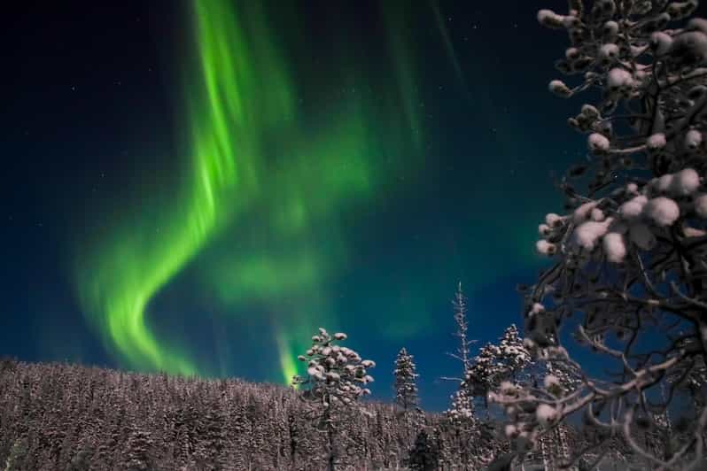 Ylläs: Seeking Northern Lights Photo Tour - Learning to photograph in the dark