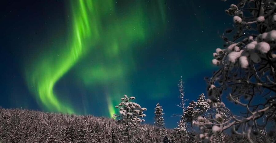 Ylläs: Seeking Northern Lights Photo Tour - Who will enjoy this Ylläs outing